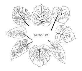 A set of tropical Monstera leaves drawn in lines. Isolated trendy leaf templates on white background. Elements for design cards, invitations, banners, web design. Stock vector illustration.