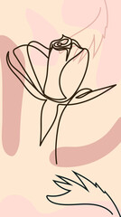 brochure, annual report and cover design templates for beauty, spa, wellness, natural products, cosmetics, fashion, healthcare