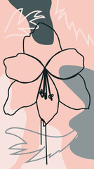 brochure, annual report and cover design templates for beauty, spa, wellness, natural products, cosmetics, fashion, healthcare