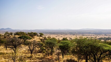 Endless Views over an African Landscape