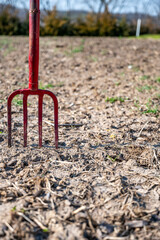 Fototapeta na wymiar Pitch fork sticking out of the dirt of a garden with the prior years residue