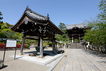 Fototapeta premium 粉河寺 手水舎と中門 和歌山県紀の川市