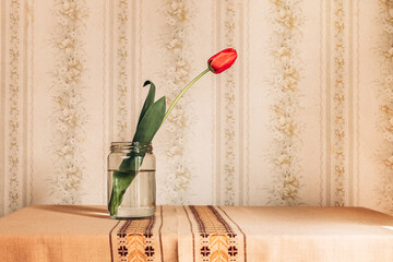 Red tulip in the glass jar. Retro vibes. Copy space