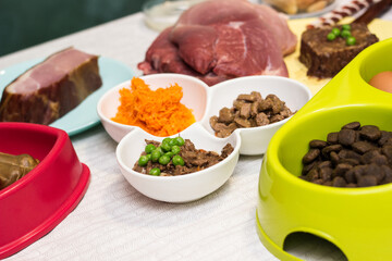 Bowl of natural raw dog food 