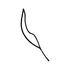 vector branch with leaves black and white. Minimalistic botanical illustration, hand drawing