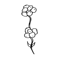 vector branch with leaves black and white. Minimalistic botanical illustration, hand drawing
