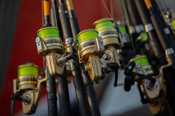 fishing rods for sea fishing