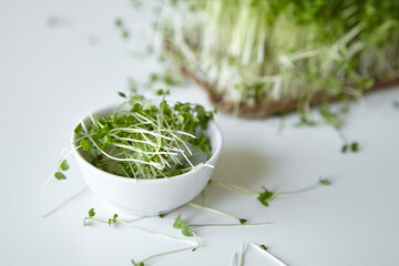 Fototapeta na wymiar Microgreen arugula sprouts in bowl on white table. Cutted micro greens in bowl