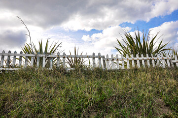 Wooden fence on the grass with plants