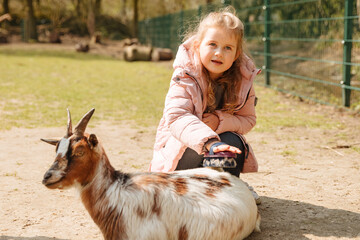 Little girl pats a goat and is happy. Child takes care of an animal. Animal therapy for disabled children. Girl on a farm with animals. petting zoo 