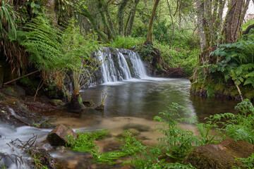 Small waterfalls formed by the river Tripes in the natural park of Mount Aloia Park, in the area of Galicia, Spain.