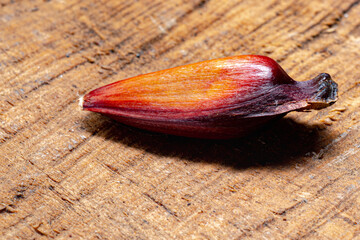 Pine cone and pine nuts (typical araucaria seed used as a condiment in Brazilian cuisine). Pine nuts, typical winter food on wooden background.