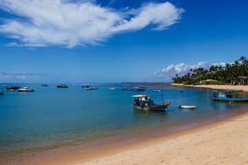 Fototapeta na wymiar Praia do Forte sea - Bahia