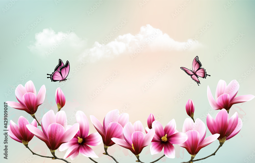 Aufkleber nature background with beautiful magnolia branches on sky with clouds and butterflies. vector.