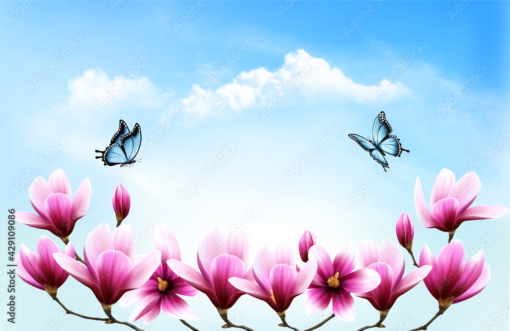 Poster nature spring background with beautiful magnolia branches on blue sky and butterflies. vector.