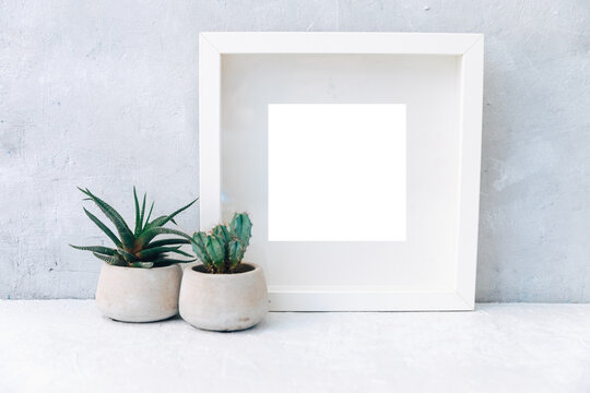 Minimal Mock up white frame with ceramic cactus plants in pots on a shelf or desk. White shelf and wall.