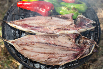 Cooking on the grill. Mackerel, and sweet pepper are baked on the fire. Natural Cooking - cooking in harmony with nature.