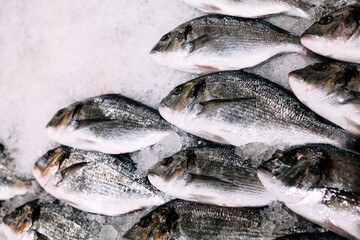  Fish on the ice in supermarket . Seafood for sale . Catch of winter fishing