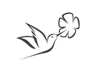 Humming bird and flower stylized elegant simple icon vector. © Carla Nichiata