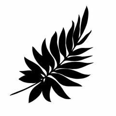 leaves in black and white