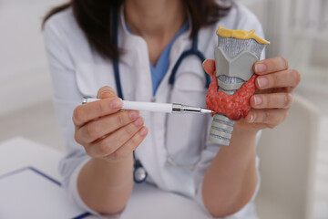 Doctor showing thyroid gland model indoors, closeup