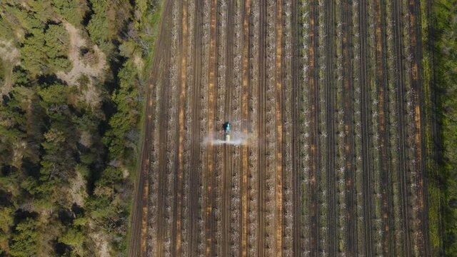 aerial view of Spraying trees in fruit orchard against insect and deceases. tractor sprays insecticide in orchard agriculture spring time.