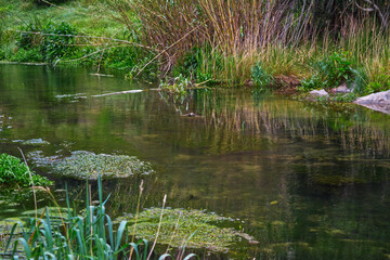 Jérica, vuelta de la hoz 