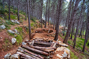 Trincheras de J&eacute;rica