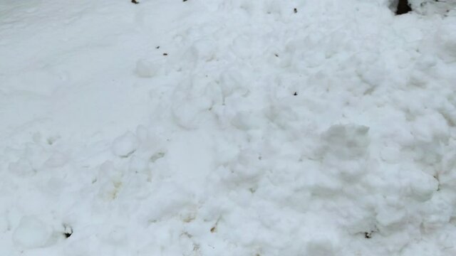 closeup snow on the ground, background texture