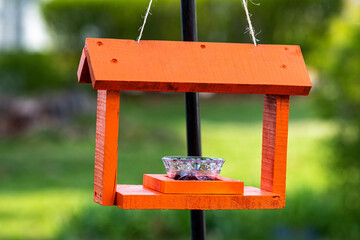 Bright orange Baltimore Oriole feeder hanging in a yard