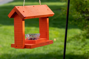 Bright orange Baltimore Oriole feeder hanging in a yard