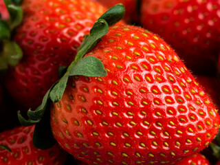 Fresas roja, frescas y saludables organicas.