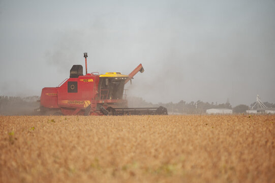FIRMAT, ARGENTINA - Apr 18, 2021: Red combine harvesting soybean
