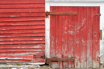 Obraz na płótnie Canvas A vibrant red wooden barn with a small door, rusty hinges, and a latch. There's rot on the wood boards in the bottom of the door. The building has white trim around the door. 