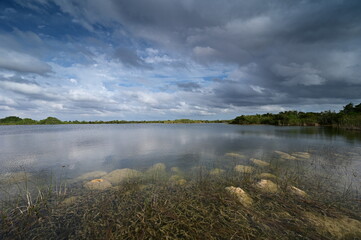 Storm clouds gathering over Sweet Bay Pond in Everglades National Park.