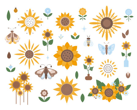 Collection of different types of sunflowers. Flat design, vector illustration