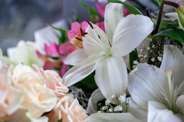 Beautiful vintage background of wildflowers. Delicate flowers close-up with a blurred background.