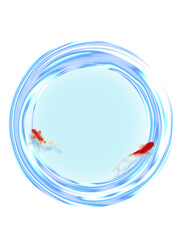 金魚　水　夏　青紅葉　白背景