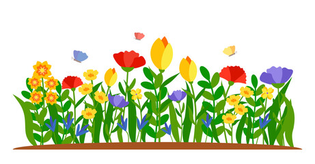 Summer border flowers with butterfly in flat cartoon style. Early flower bed, colored tulip, daffodil in grass. Forest nature springtime landscape design element. Isolated on white vector illustration