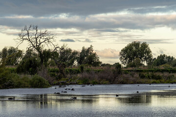 sunset over the lake