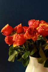 Orange roses on black background 