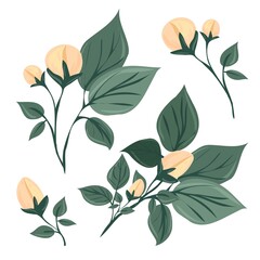 A branch of a blossoming tree. Leaves and flowers. Unblown bud. Isolated vector botanical clip art element for design.