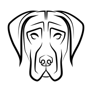 Black and white line art of Great Dane dog head. Good use for symbol, mascot, icon, avatar, tattoo, T Shirt design, logo or any design you want.