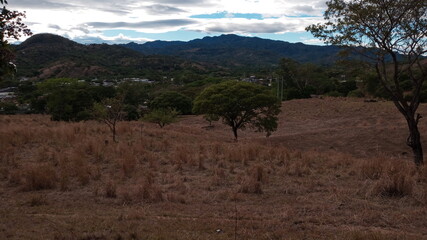 joshua tree national park