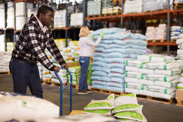 Fine African American warehouse worker pushing handtruck with sacks