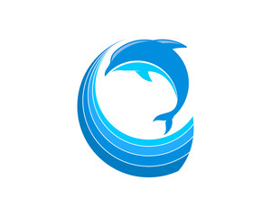 Jumping dolphin on the blue waves