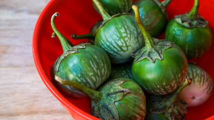 Close up of small green eggplant