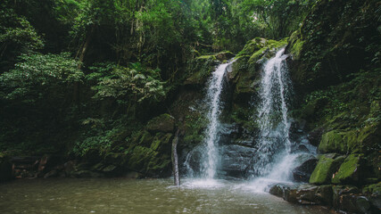 Fototapeta na wymiar Waterfall in the forest.