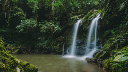 Obraz premium Waterfall in the forest.