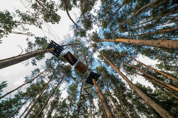 Obstacle course, rope park among the trees in the forest